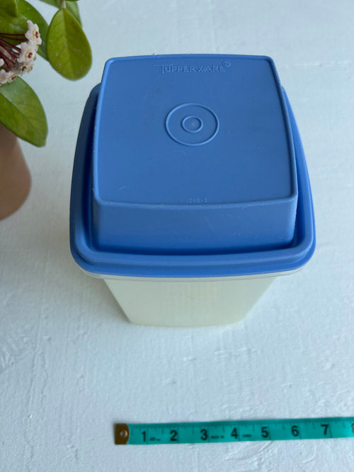 Blue top of Tupperware celery keeper on white background