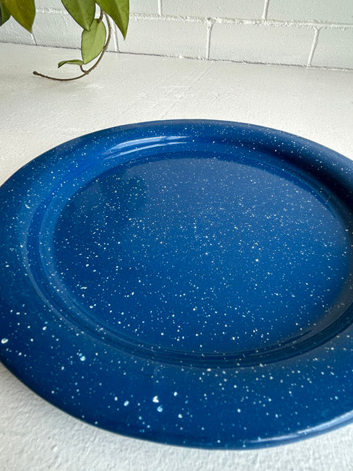 Blue speckled enamel plate on a white surface with a plant in the corner