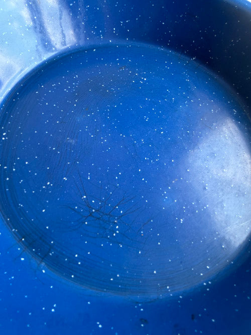 CampingPlateBlueWhiteSpeckles