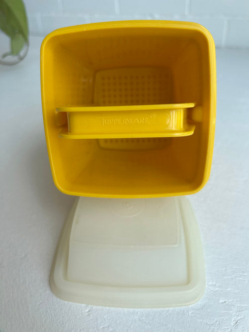 Celery elevator Tupperware container on white background